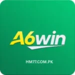 A6Win