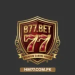 B77 Game